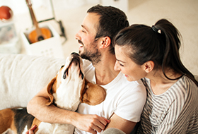 dog with couple