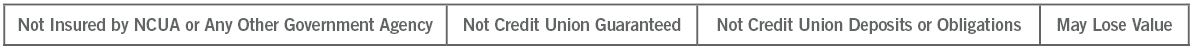 Not Insured by NCUA or Any Other Government Agency | Not Credit Union Guaranteed | Not Credit Union Deposits or Obligations | May Lose Value